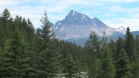 Britisch-Kolumbien-Mount-Robson-Mt-Fitzwilliam-über-Dem-Wald