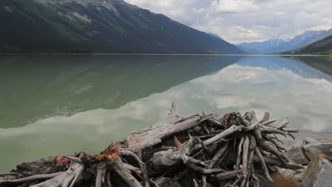 British-Columbia-Moose-Lake-with-driftwood