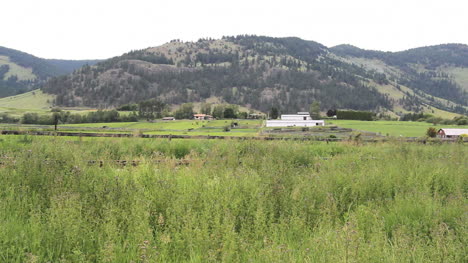 Paisaje-De-Okanagan-De-Columbia-Británica