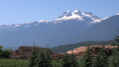 British-Columbia-Revelstoke-Logs