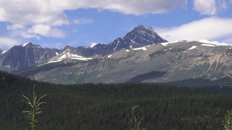 Canada-Icefields-Parkway-mountain-view-and-forest