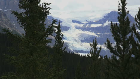 Kanada-Icefields-Parkway-Columbia-Eisfeld-Umrahmt-Von-Bäumen