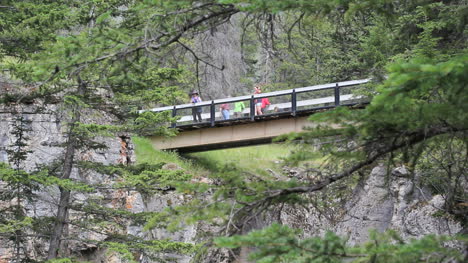 Kanada-Jaspis-Nationalpark-Brücke-Im-Malign-Canyon