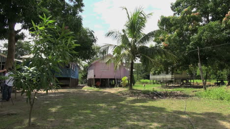Dorf-Auf-Der-Amazonasinsel