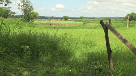 Agricultura-De-La-Aldea-Amazónica