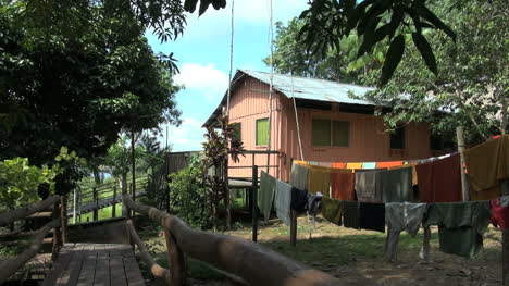 Amazon-Wäsche-Von-Haus-Im-Dschungel