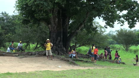 Brasilien-Boca-Da-Valeria-Großer-Baum-Mit-Menschen-S
