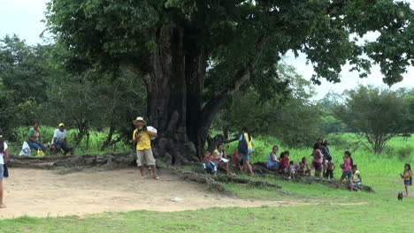 Brasil-Boca-Da-Valeria-Personas-Bajo-Un-Gran-árbol