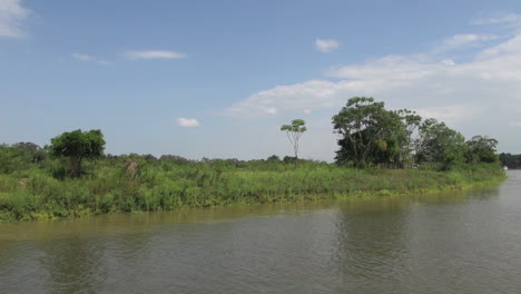 Brasil-Remanso-Amazónico-Cerca-De-Santarem-Remanso-Banco-Algunos-árboles-S