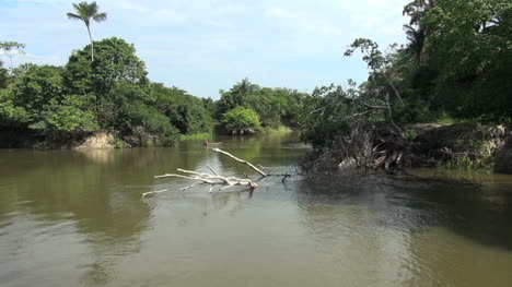 Brasilien-Amazonas-Backwater-In-Der-Nähe-Von-Santarem-River-Edge-Baum-Im-Wasser-Und-Kanu-S