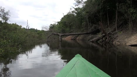 Amazon-canoe-approaches-log-over-river