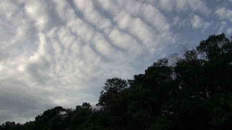 Amazonaswolken-über-Regenwald