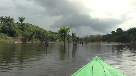 Amazon-Tote-Bäume-Und-Wolken-Vom-Kanu