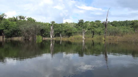 Brasilien-Amazonas-Tote-Bäume-Reflektierten-Wolken-Vom-Boot