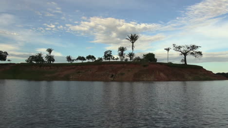 Amazon-trees-on-bank-from-boat