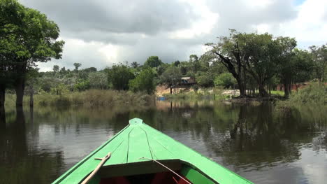Amazonasbäume-Im-Wasser-Und-Haus-Am-Ufer