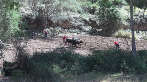 Peru-Anden-Pflügen-Feld