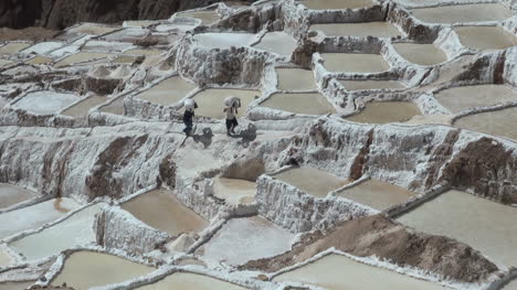 Salinas-De-Perú-Los-Hombres-Llevan-Sal-A-Lo-Largo-De-Las-Terrazas