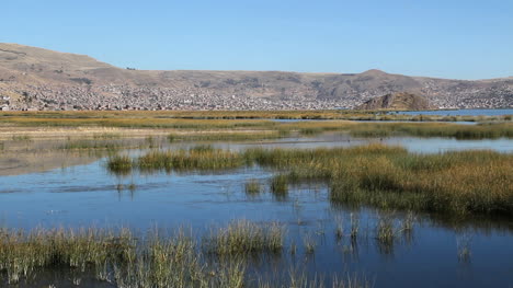 Peru-Lake-Titicaca-tranquil-wetland-and-masses-of-reeds