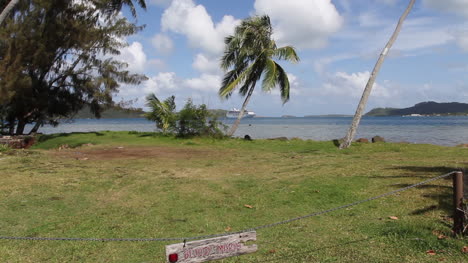 Bora-Bora-palm-tree-and-ship-in-lagoon