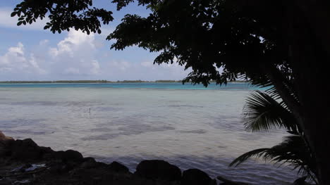 Bora-Bora-Blätter-In-Silhouette-Hängen-über-Einer-Lagunenansicht-Lag