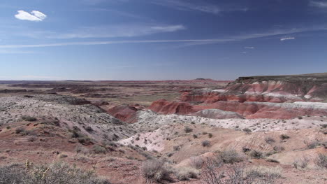 Vista-Del-Bosque-Petrificado-De-Arizona-Desde-Los-Acantilados