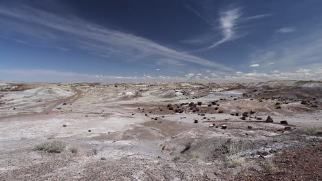 Arizona-Versteinerter-Wald-Nationalpark-Kristallwald-Übersicht