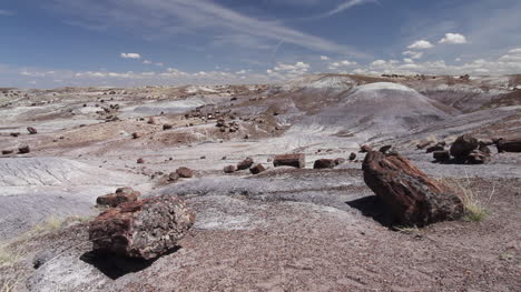 El-Parque-Nacional-Del-Bosque-Petrificado-De-Arizona-Crystal-Forest-Registra-En-Primer-Plano