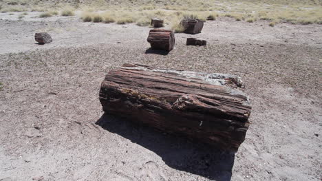 Detalle-De-Registro-De-Bosque-Petrificado-De-Arizona