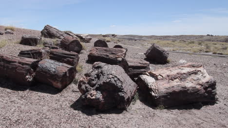 Arizona-Petrified-Forest-Crystal-Forest-scattered-pieces