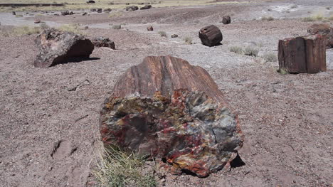 Arizona-Versteinerter-Wald-Bunte-Log-Detail