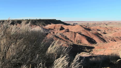 Arizona-Painted-Desert-with-shrub