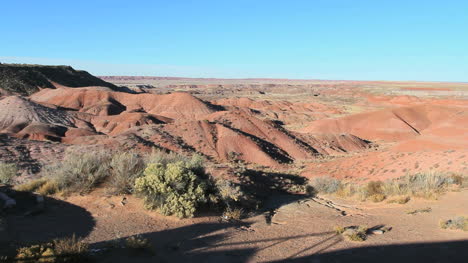 Arizona-Gemalte-Wüstenansicht