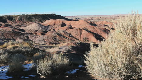 Desierto-Pintado-De-Arizona-Y-Artemisa