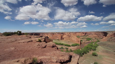 Arizona-Canyon-de-Chelly-tourist-and-bird-at-Tsego-Overlook