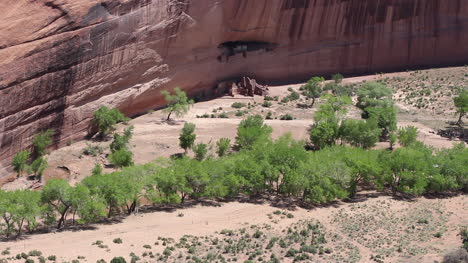 Arizona-Canyon-De-Chelly-Ruinas-Y-árboles-Por-Curso-De-Corriente