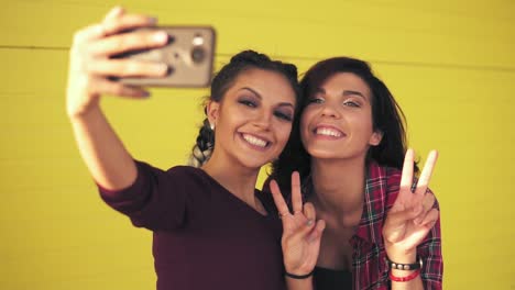Zwei-Attraktive-Frauen-Posieren,-Während-Sie-Selfie-Nehmen-Und-Friedenszeichen-Zeigen