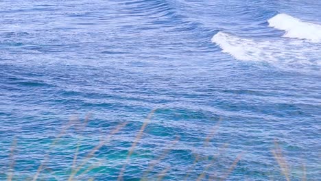 Man-paddling-surfboard-on-beautiful-bay-with-white-waves-splashing-toward-beach-with-sand-and-rocks-in-Hawaii