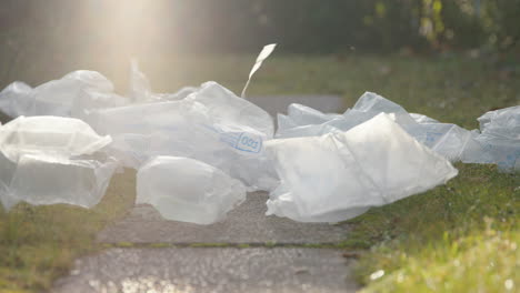 Residuos-De-Embalaje,-Bolsas-De-Aire-Para-Acolchado-Caen-En-El-Camino-Del-Jardín-A-La-Luz-Del-Sol