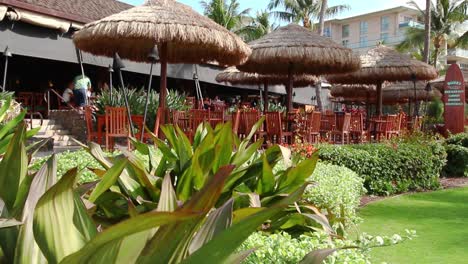 Tropical-plants-with-big-leaves-in-front-of-beach-restaurant,-people-eating-lunch-on-wooden-tables-outside,-Hawaii