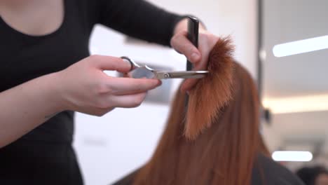 A-hairdresser-lady-is-cutting-a-customer's-hair-after-colouring-in-her-hair-salon