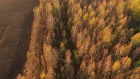 Aerial-view-of-the-large-wide-brown-peat-field-in-Kaunas-county,-Lithuania