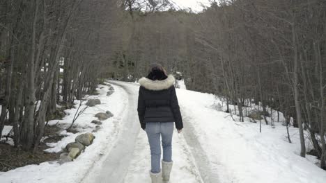 Girl-with-pink-hair-taking-a-walk-on-snow-road-in-forest,-back-view