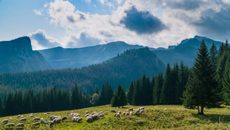 Timelapse-De-Kalatówki-En-Las-Montañas-Tatra