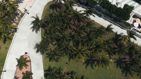 Aerial-drone-shot-of-me-laying-in-the-grass-in-South-Beach-Miami-with-the-drone-going-up-and-showing-the-palm-trees,-buildings,-beach-and-ocean