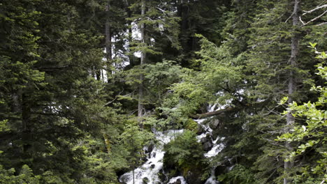 Tilt-down-shot-of-Uelhs-deth-Joèu-waterfall-through-forest-trees