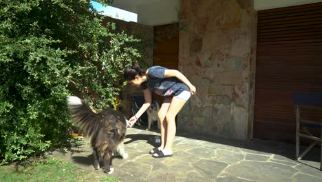 Young-Girl-Giving-Food-at-Two-Happy-Dogs,-Tripod-Shot