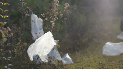 Plastiktüten-Aus-Verpackungen-Liegen-Verstreut-Auf-Wiese,-Weitere-Fallen-Von-Oben-Herunter