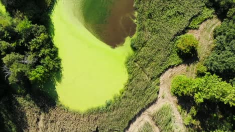 Video-De-Drones-De-Un-Lago-Verde-Con-Algas