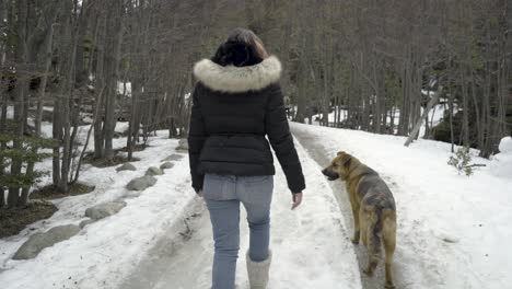 Girl-taking-a-walk-with-a-dog-in-forest-snow-road,-back-view